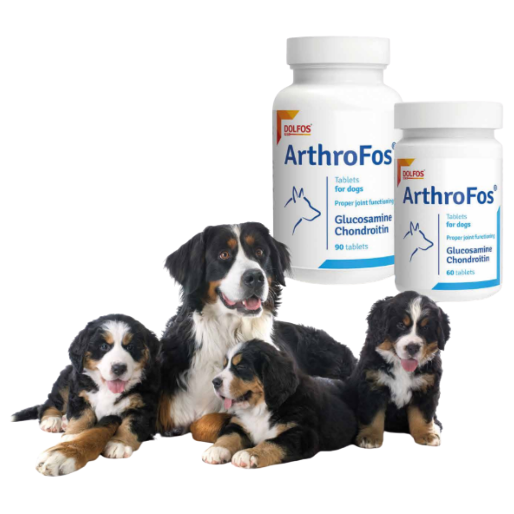 Dolfos ArthroFos. Suplemento para Mantenimiento de Articulaciones de Perros y Gatos - Imagen 4