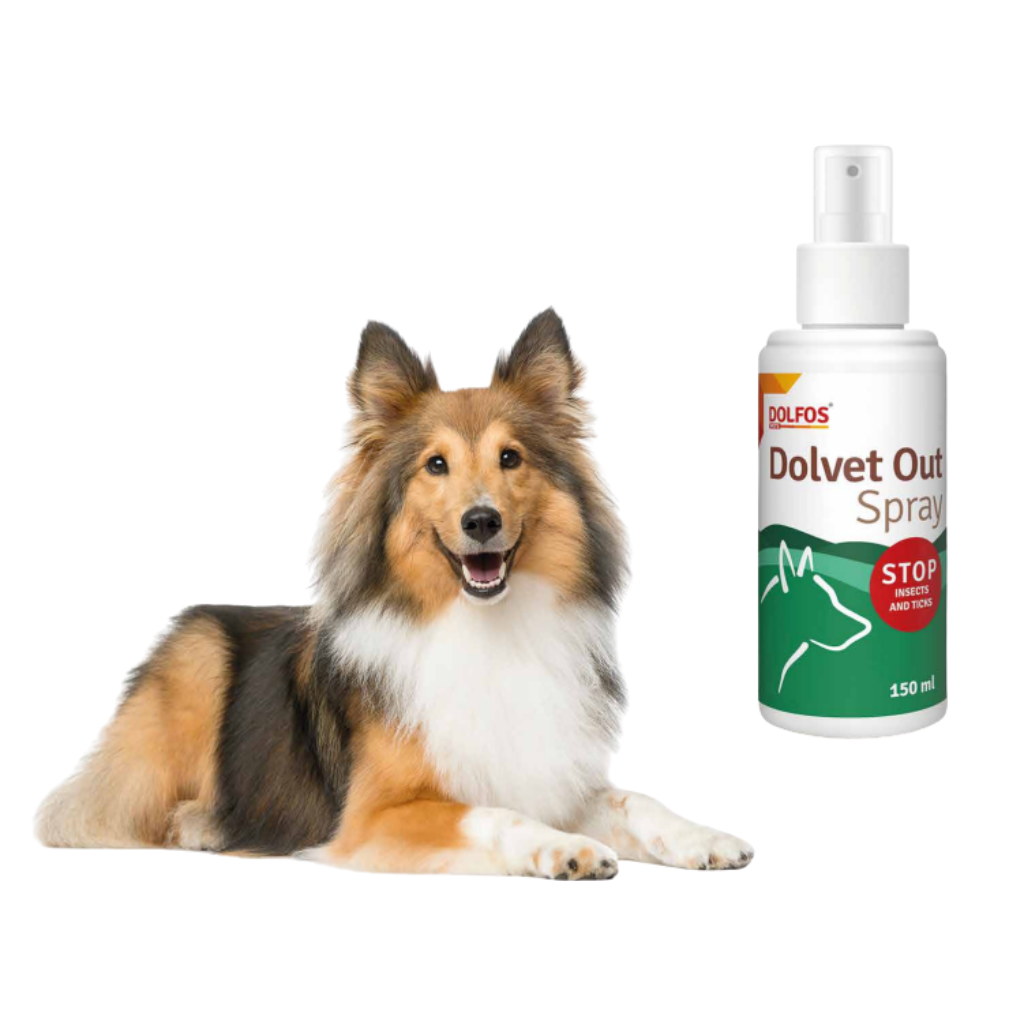 Spray antiparasitario para perros