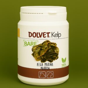 Dolvet Kelp