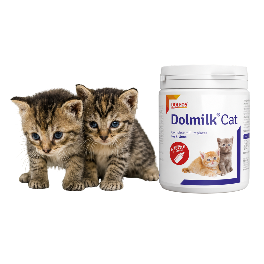 Dolfos Dolmilk Cat, leche maternizada para gatitos con biberón y tetina, formulada como sustituto de la leche materna para cubrir las necesidades nutricionales de gatos recién nacidos, huérfanos o como alimentación complementaria durante la lactancia.