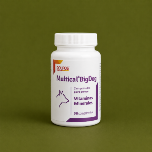 Multical BigDog