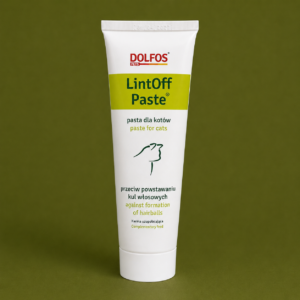 LintOff Paste