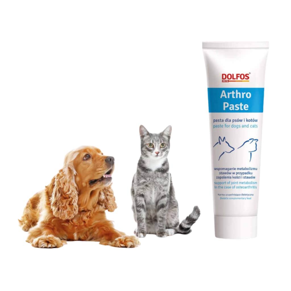 Perros activos y cuidado nutricional de las articulaciones con Dolfos Arthro Paste