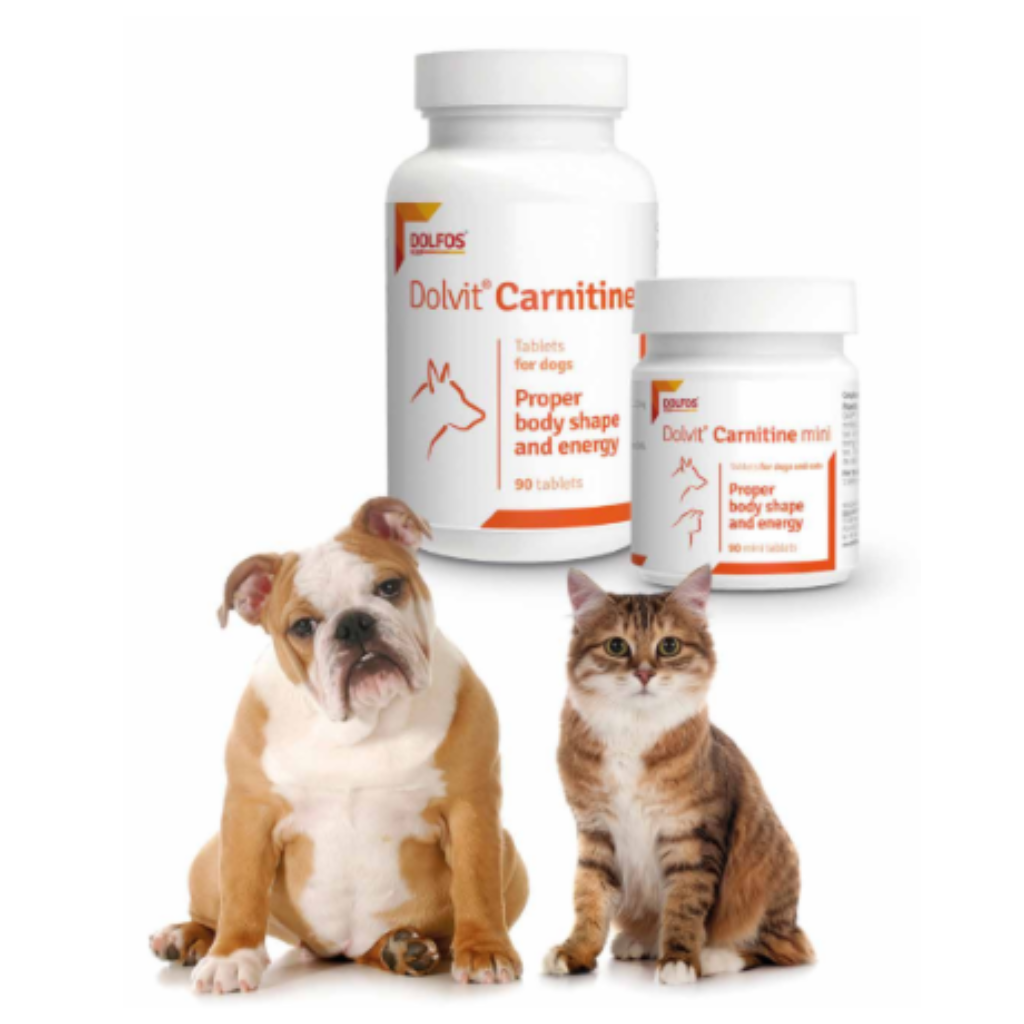 Dolvit Carnitina Dolfos para perros con actividad física elevada