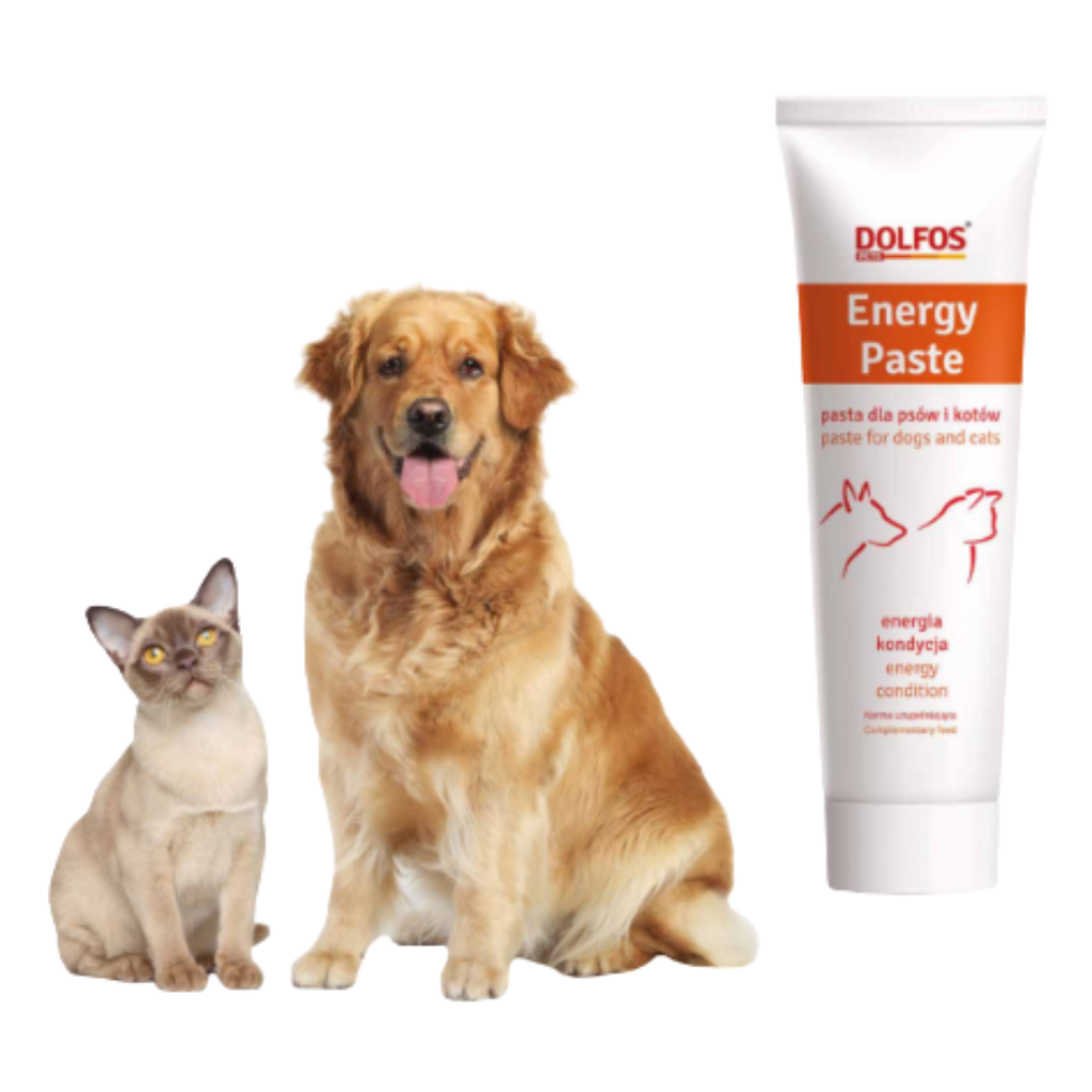 Pasta nutricional Energy Paste Dolfos para perros con falta de energía